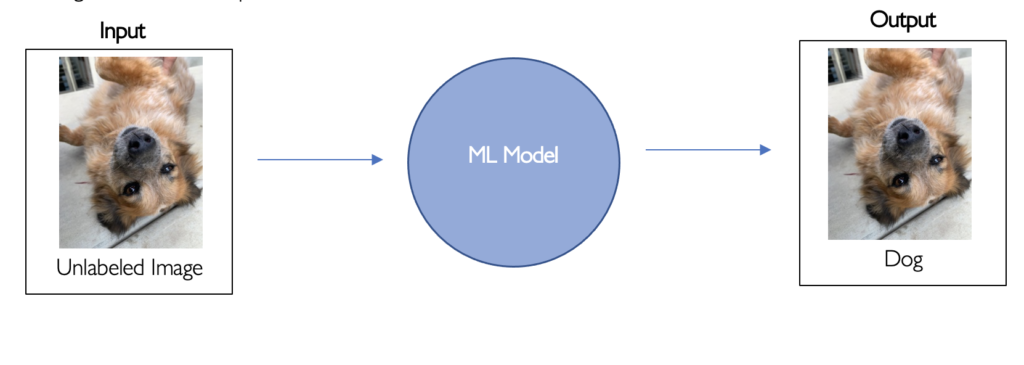 Testing a ML Model